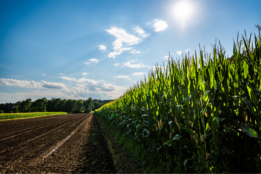 the-land-market-in-ukraine-has-reached-1-million-hectares