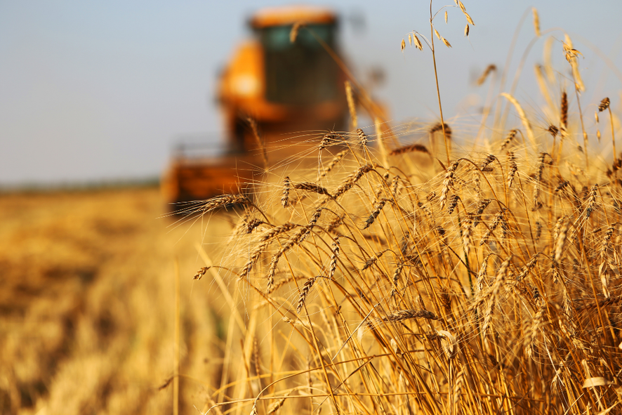 the-government-has-approved-the-procedure-and-criteria-for-determining-areas-of-risky-farming